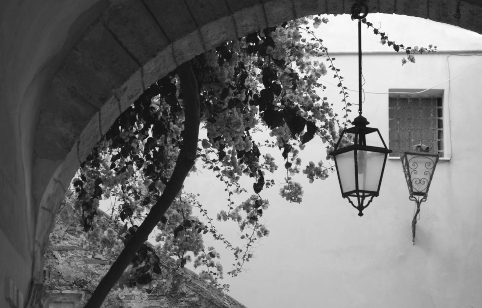 Навчальний процес спіральної техніки букетів в Fimbolex